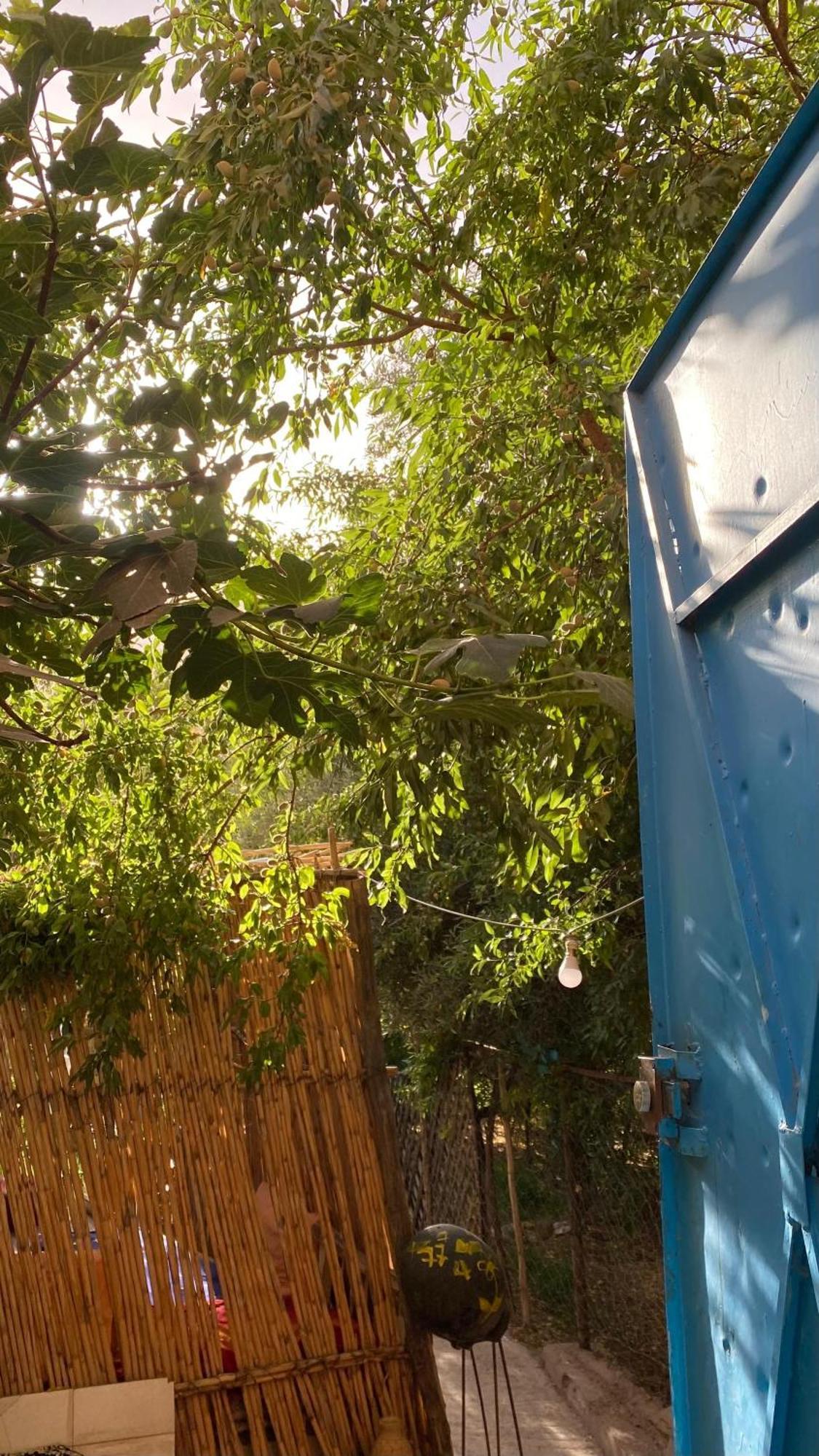Dar Relax Hostel, Gorges De Todra タンギール エクステリア 写真